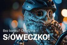 Podlaskie zwierzaki noszą kask 