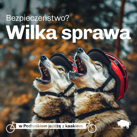 Podlaskie zwierzaki noszą kask 