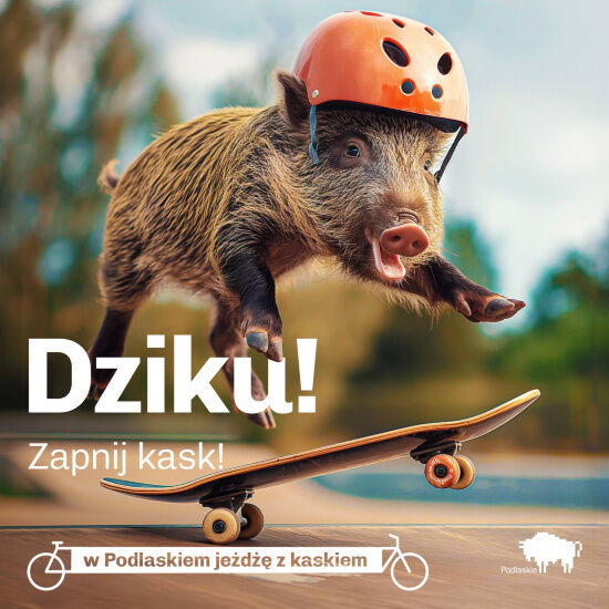 Podlaskie zwierzaki noszą kask 