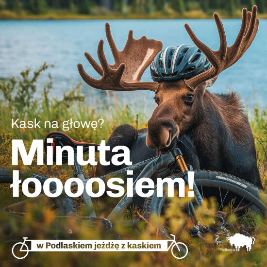 Podlaskie zwierzaki noszą kask 