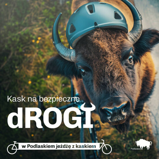 Podlaskie zwierzaki noszą kask 