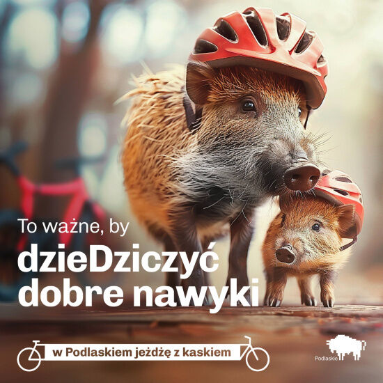 Podlaskie zwierzaki noszą kask 