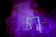 Festiwal PEUNIA