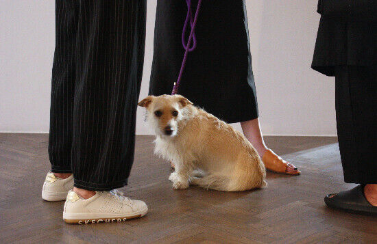 2024.08.02 - Wernisaż wystawy "Wieczny płomień" w Galerii Arsenał w Białymstoku