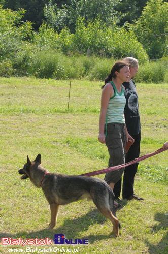 Piknik Agility