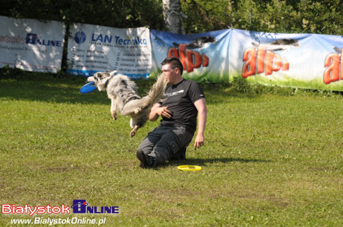 Piknik Agility