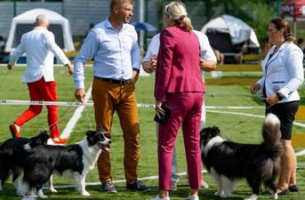 Międzynarodowa Wystawa Psów Rasowych. Najpiękniejsze psy świata w Białymstoku