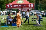 2024.08.24 - Międzynarodowa Wystawa Psów Rasowych. Najpiękniejsze psy świata w Białymstoku