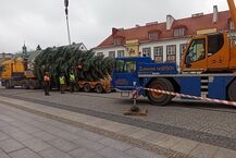 Rynek Kościuszki. Montaż choinki i przygotowania do jarmarku