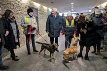 Wystawa ze zdjęciami zwierząt z białostockiego schroniska