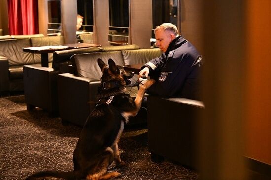 Psy policyjne szukały narkotyków w białostockim kinie