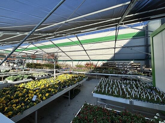 Ogród zewnętrzny w Leroy Merlin 