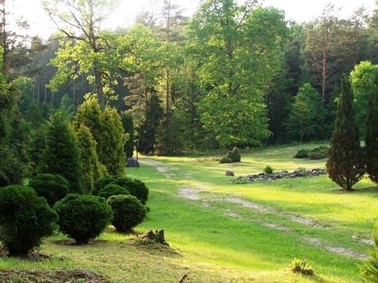 Arboretum w Kopnej Górze 