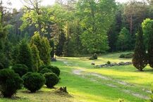 Arboretum w Kopnej Górze 