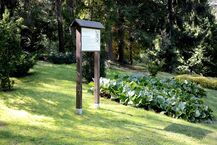 Arboretum w Kopnej Górze 