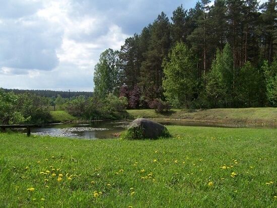 Arboretum w Kopnej Górze 