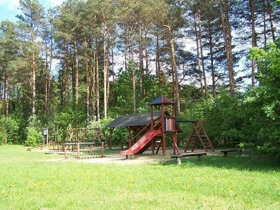 Arboretum w Kopnej Górze 