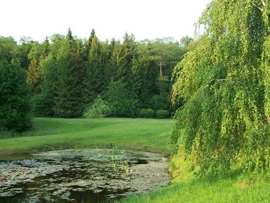 Arboretum w Kopnej Górze 
