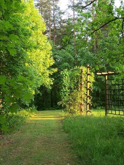 Arboretum w Kopnej Górze 