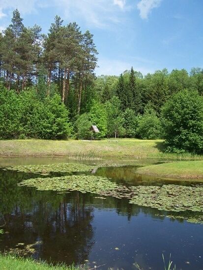 Arboretum w Kopnej Górze 