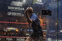 Sekwoja Squash Festival 2025