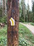 Nowe oznaczenia szlaków