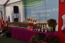 XIX i XX Międzynarodowa Wystawa Psów Rasowych