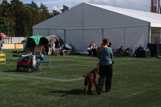 2025.08.24 - XIX i XX Międzynarodowa Wystawa Psów Rasowych