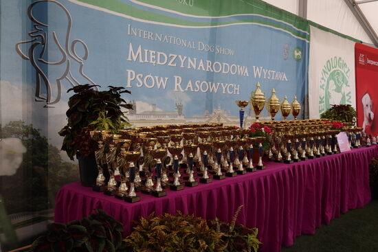 2025.08.24 - XIX i XX Międzynarodowa Wystawa Psów Rasowych