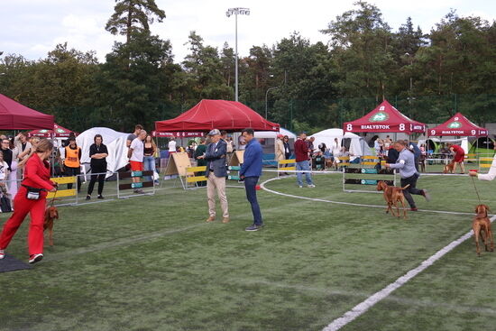 2025.08.24 - XIX i XX Międzynarodowa Wystawa Psów Rasowych
