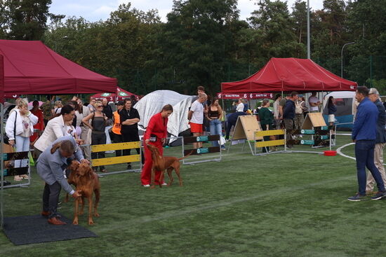 2025.08.24 - XIX i XX Międzynarodowa Wystawa Psów Rasowych