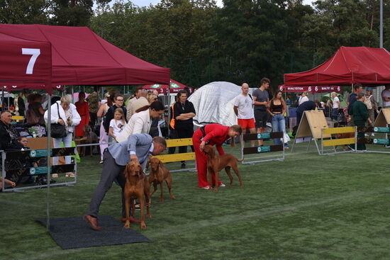2025.08.24 - XIX i XX Międzynarodowa Wystawa Psów Rasowych