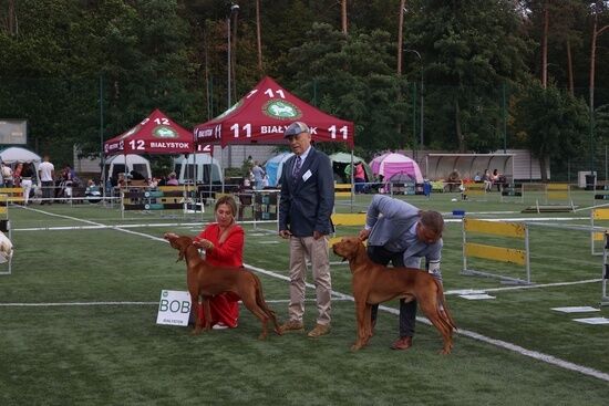 2025.08.24 - XIX i XX Międzynarodowa Wystawa Psów Rasowych