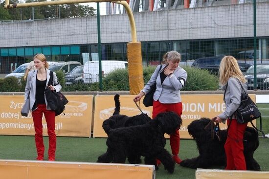 2025.08.24 - XIX i XX Międzynarodowa Wystawa Psów Rasowych