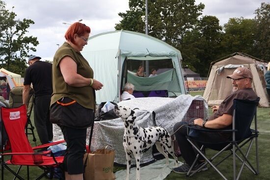 2025.08.24 - XIX i XX Międzynarodowa Wystawa Psów Rasowych