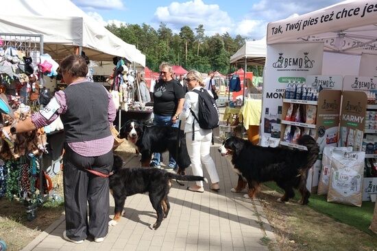 2025.08.24 - XIX i XX Międzynarodowa Wystawa Psów Rasowych