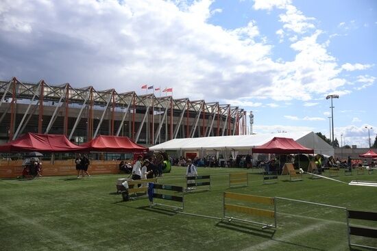 2025.08.24 - XIX i XX Międzynarodowa Wystawa Psów Rasowych