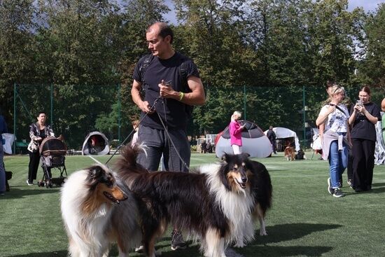 2025.08.24 - XIX i XX Międzynarodowa Wystawa Psów Rasowych