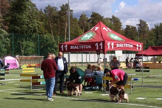 2025.08.24 - XIX i XX Międzynarodowa Wystawa Psów Rasowych