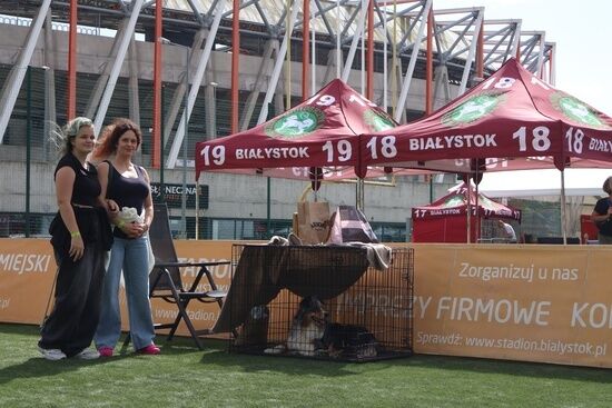 2025.08.24 - XIX i XX Międzynarodowa Wystawa Psów Rasowych