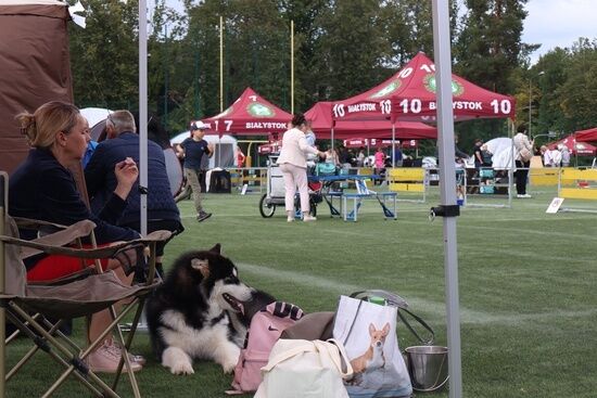 2025.08.24 - XIX i XX Międzynarodowa Wystawa Psów Rasowych