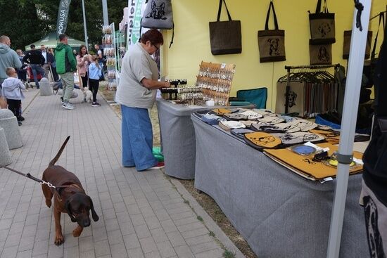 2025.08.24 - XIX i XX Międzynarodowa Wystawa Psów Rasowych