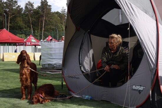 2025.08.24 - XIX i XX Międzynarodowa Wystawa Psów Rasowych