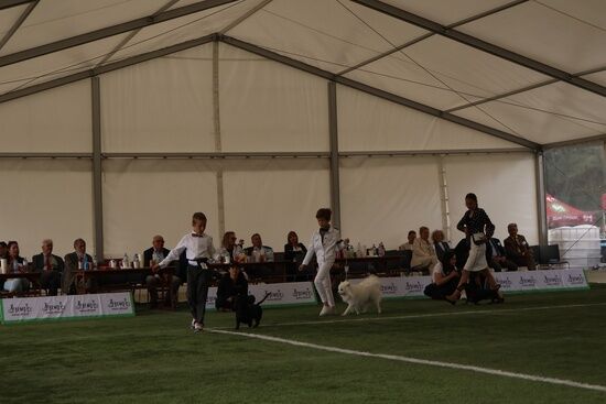 2025.08.24 - XIX i XX Międzynarodowa Wystawa Psów Rasowych