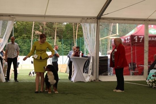 2025.08.24 - XIX i XX Międzynarodowa Wystawa Psów Rasowych