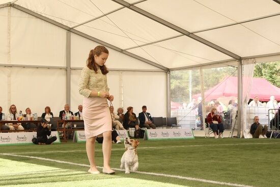 2025.08.24 - XIX i XX Międzynarodowa Wystawa Psów Rasowych