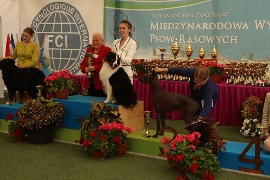 2025.08.24 - XIX i XX Międzynarodowa Wystawa Psów Rasowych