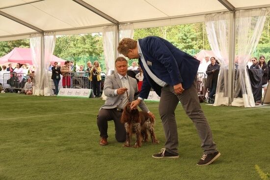 2025.08.24 - XIX i XX Międzynarodowa Wystawa Psów Rasowych