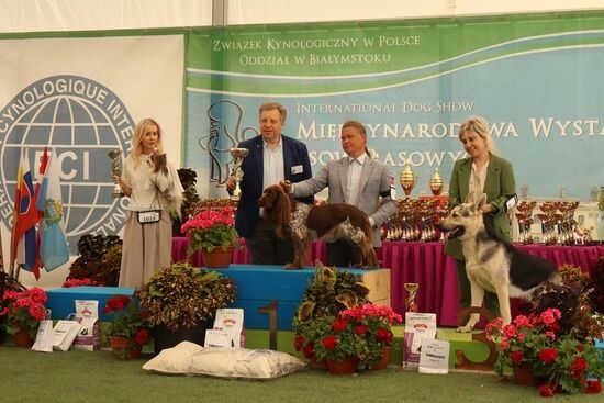 2025.08.24 - XIX i XX Międzynarodowa Wystawa Psów Rasowych