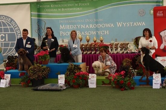 2025.08.24 - XIX i XX Międzynarodowa Wystawa Psów Rasowych